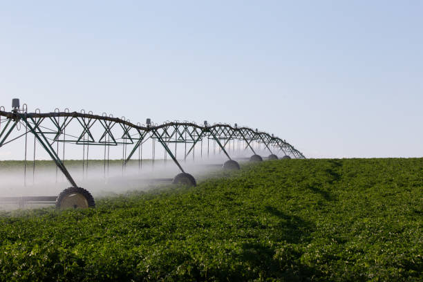 istock Center pivot crop irrigation system for farm management 1165775193