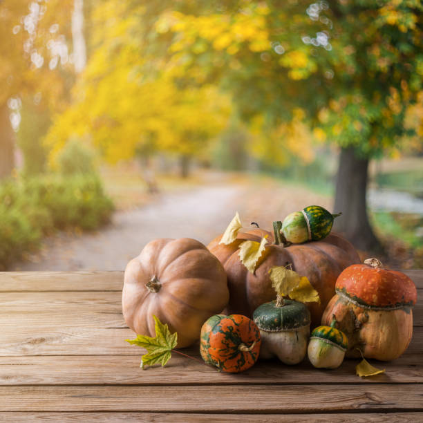 istock Pumpkin on wooden background 1165775575