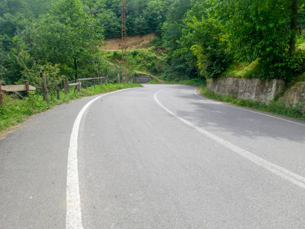 istock Asphalt road in the middle of trees on background blue sky 1165776355