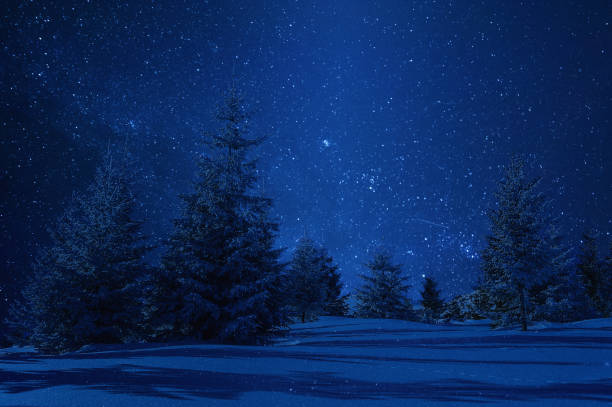 istock Night winter landscape and stars 1165776768