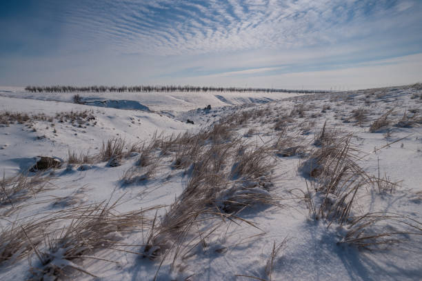 istock Winter landscape with snowy steppe 1165776858