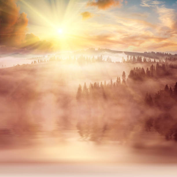 Majestic view of beautiful lake with reflection of trees in water.
