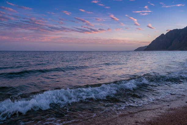 istock Summer landscape with sea and sunset 1165777479