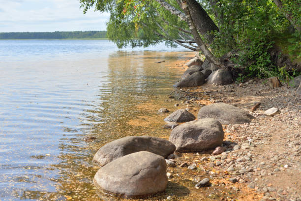 istock Coast of lake. 1165778911
