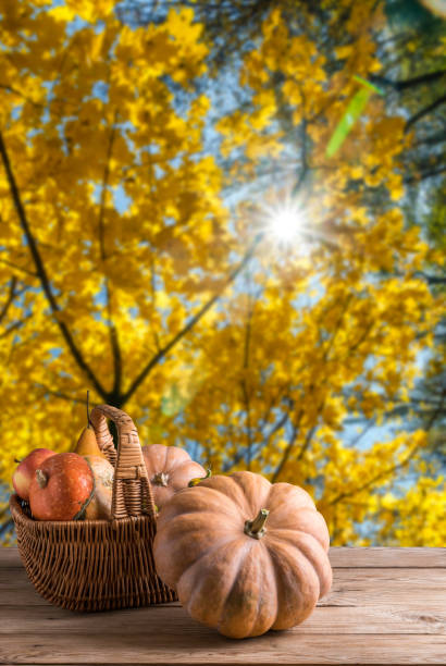 istock Pumpkin on wooden background 1165779781