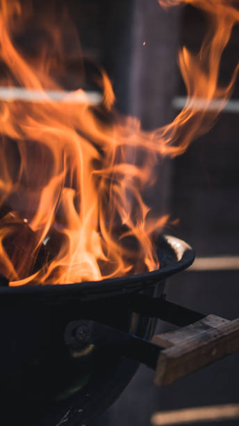 istock Camp fire,wood in flames,close up 1165780692