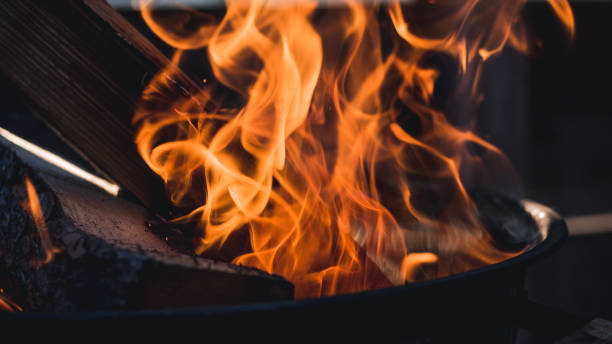istock Camp fire,wood in flames,close up 1165780730