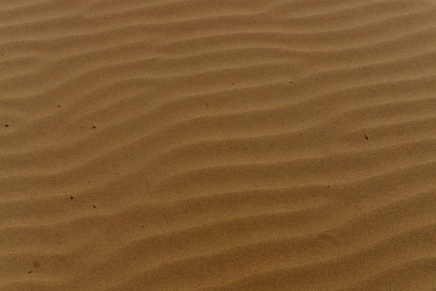 istock Drawing on the sand after the waves 1165784121
