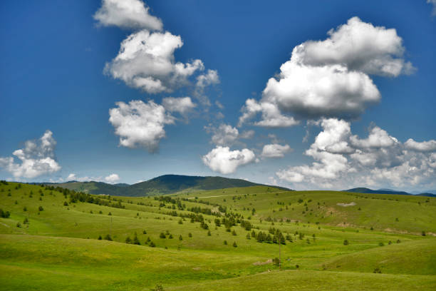 Green meadows in the mountains