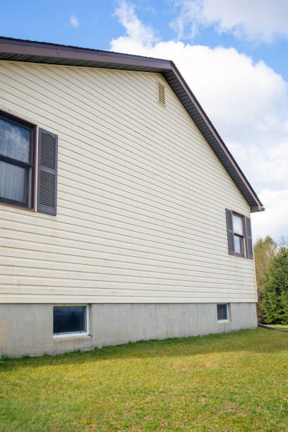 istock House with pale yellow vinyl siding 1165789445