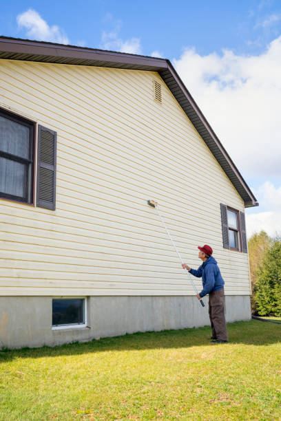 istock Homeowner washinghouse vinyl siding 1165789449