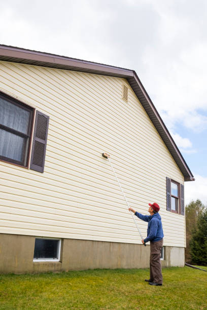 istock Homeowner washinghouse vinyl siding 1165789466