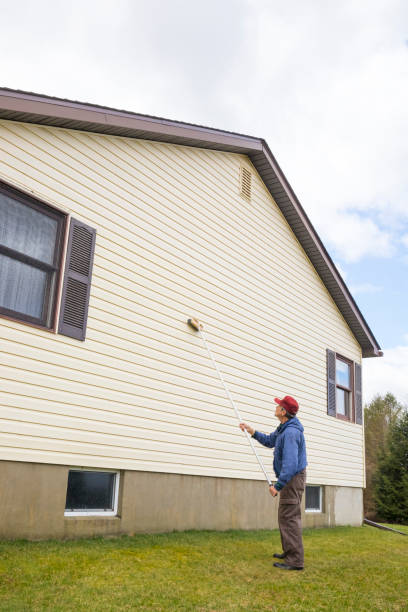 istock Homeowner washinghouse vinyl siding 1165789468