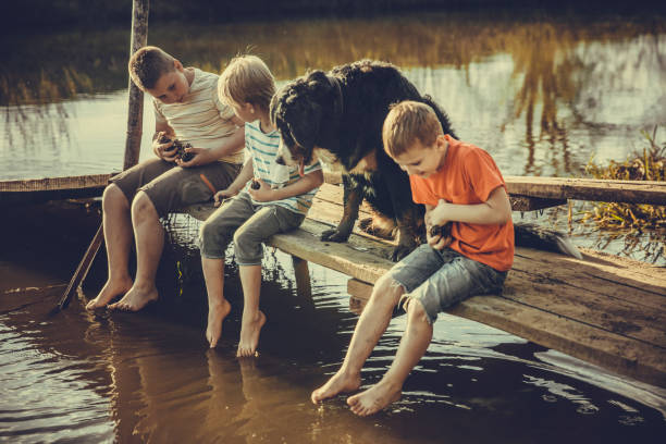 istock Boys throwing wet pine cones into the river 1165800382