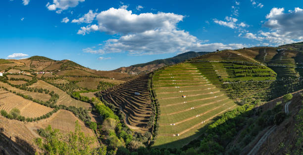 istock Crooked River Valley, California 1165806757