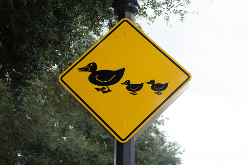 Yellow duck family crossing sign