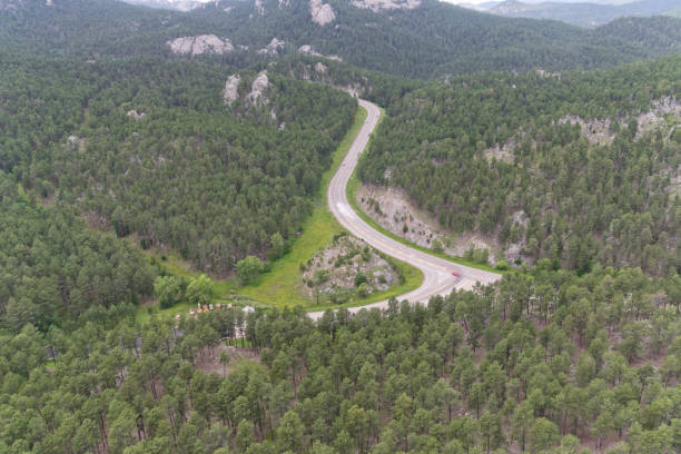 istock aerial view of a highway through the forest 1165819959
