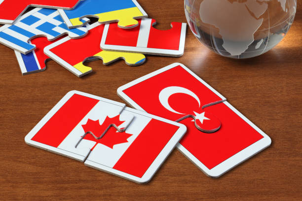 istock Canada and Turkey Flags in puzzle 1165824276