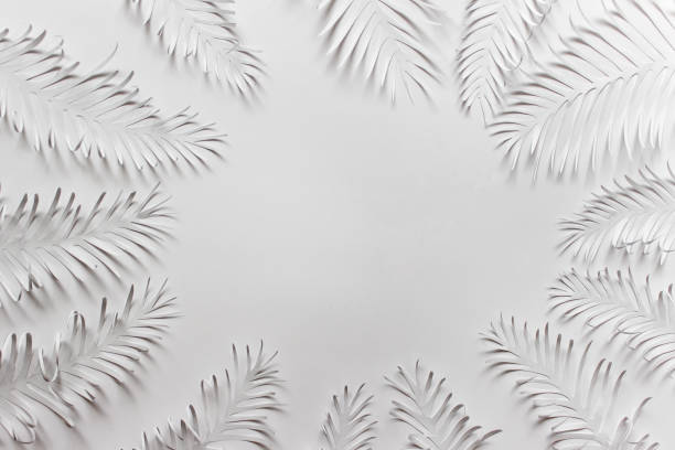 istock Bored frame made with white paper tropical plant palm feathers 1165825061