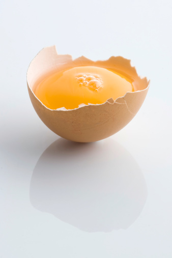 Fresh and natural egg yolk with the shell.