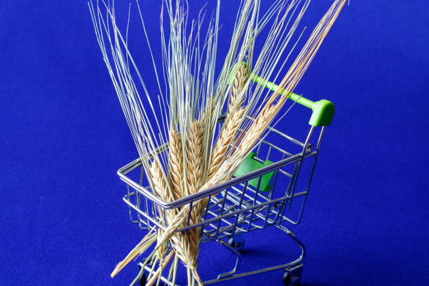 a bundle of wheat is placed in a shopping trolley, the background is blue