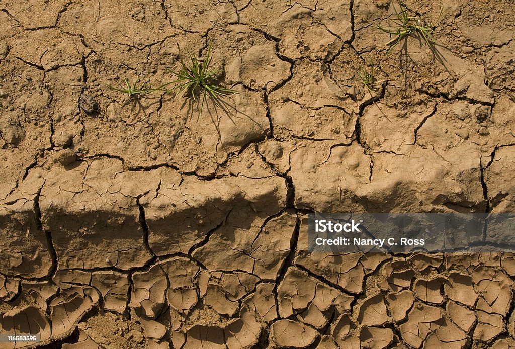 균열, 가뭄, 지구별, 환경 먼지, 잔디, 배경, 패턴 - 로열티 프리 0명 스톡 사진