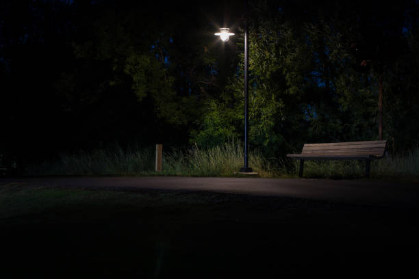 istock Park Bench in the Shadows - Color 1165837692