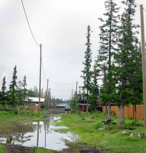 impassable north road street with puddle and mud in the village of yakutia suntar with spruce trees and a car at the fence with houses. - tranquil scene sky street road imagens e fotografias de stock