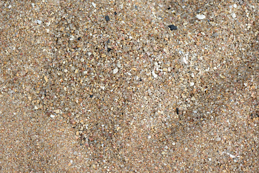 Texture of sand on the beach close up. Natural abstract background