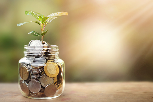 A glass jar full of coins and plant growing through it with some coins and plant leaves. Concept of savings, interest, fixed deposits, pension, social security cheque.