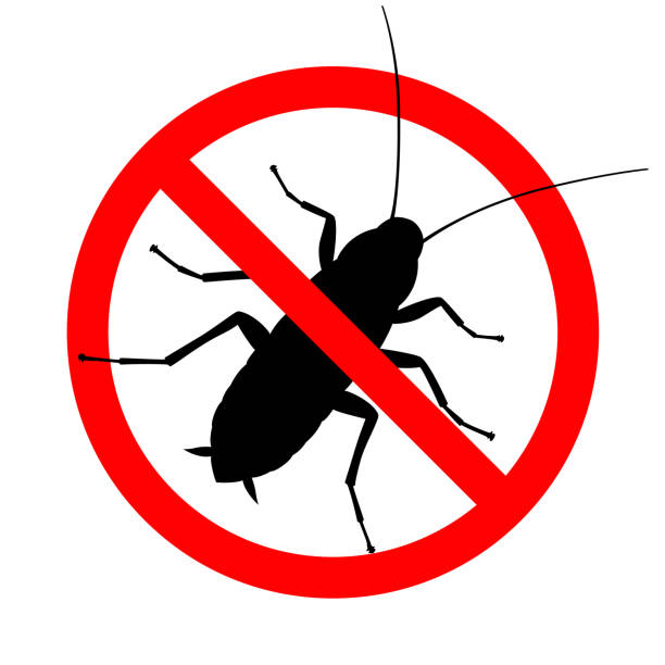 No cockroach Cockroach in the prohibition sign. Warning sign no cockroach. Symbol for informational and institutional sanitation and related care. Vector illustration extreem weer stock illustrations