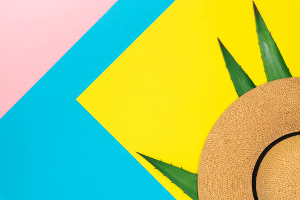 istock Minimal summer concept flat lay. Straw hat, aloe cactus leaf on colored pastel background. Copy Space for text. Top view 1165846606