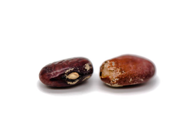 ugly red beans on a white background isolated