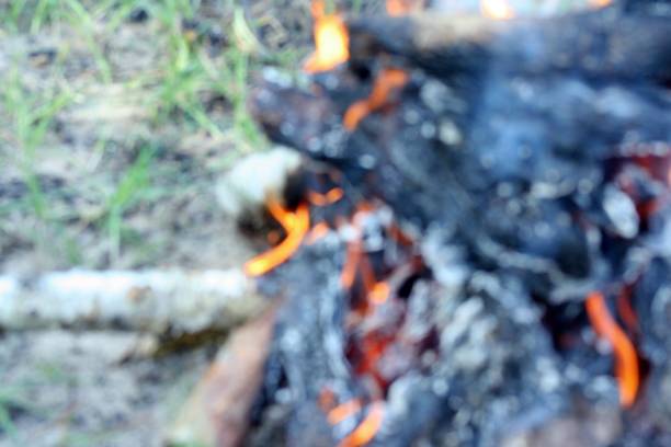 istock dry wooden logs burn with a bright flame in the fire. Bokeh fire background 1165853234