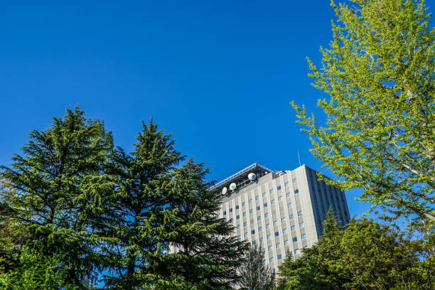 istock Streets of Sendai,Miyagi Prefecture 1165853480