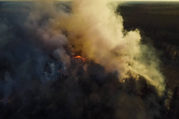 istock Fires in Russian forest, Transbaikal forest in fire, burning of 1165853485