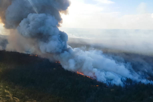 istock Fires in Russian forest, Transbaikal forest in fire, burning of 1165853504
