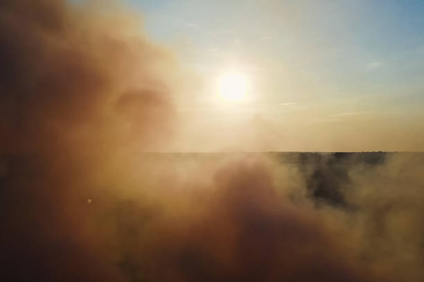 istock Fires in Russian forest, Transbaikal forest in fire, burning of 1165853522
