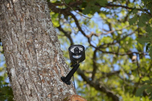 istock Closeup on a video surveillance camera with blue sky background 1165857019