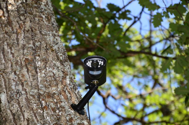 istock Closeup on a video surveillance camera with blue sky background 1165857040