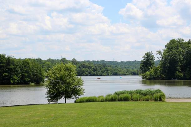 istock Green Grass and Beautiful Lake 1165858800