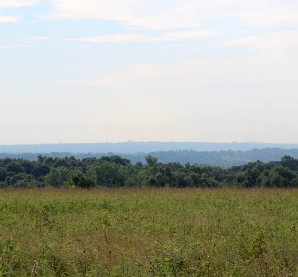 istock Foggy Valley Horizon 1165859756