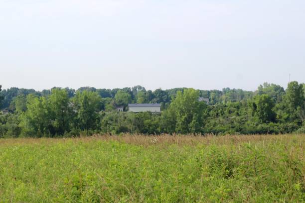 istock Houses on the Hillside 1165860619