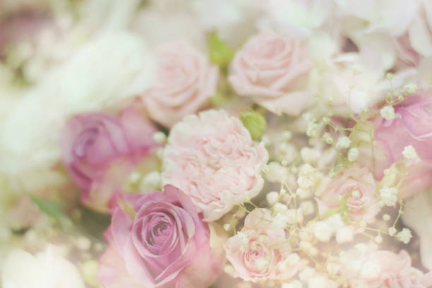 istock Close up beautiful Pink  rose flower bouquet 1165861450