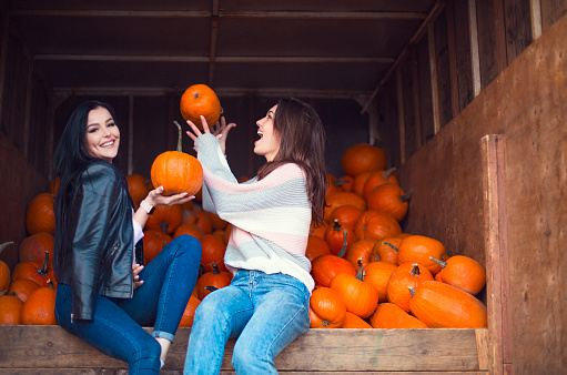 Fashionable beautiful young girlfriends together at the autumn pumpkin patch background. Having fun and posing. Toned in retro style