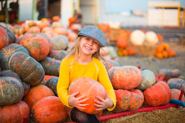 glückliches kleines mädchen beim herbst kürbis patch hintergrund - pumpkin child little girls pumpkin patch stock-fotos und bilder