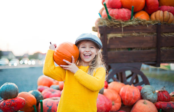 秋のカボチャパッチの背景で幸せな小さな女の子。楽しんで - pumpkin child little girls pumpkin patch ストックフォトと画像