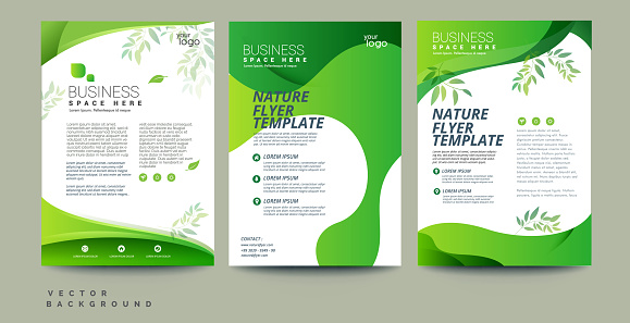 Vector eco flyer, poster, brochure, magazine cover template. Modern green leaf, environment design with 3 variant colors