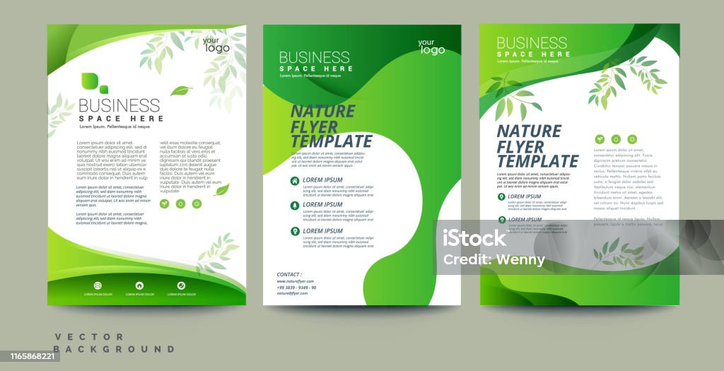 Vector eco flyer, poster, brochure, magazine cover template. Modern green leaf, environment design. - Vector Vector eco flyer, poster, brochure, magazine cover template. Modern green leaf, environment design with 3 variant colors Environmental Conservation stock vector