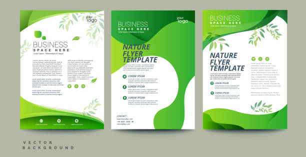 Vector eco flyer, poster, brochure, magazine cover template. Modern green leaf, environment design. - Vector Vector eco flyer, poster, brochure, magazine cover template. Modern green leaf, environment design with 3 variant colors environment patterns stock illustrations